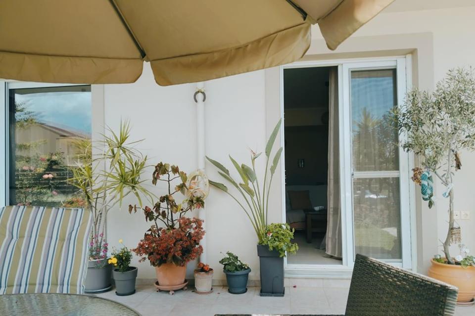 شقة Xrysa'S Garden Mesolóngion المظهر الخارجي الصورة